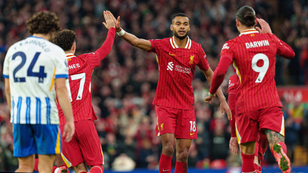 进著名的美 进著名的美