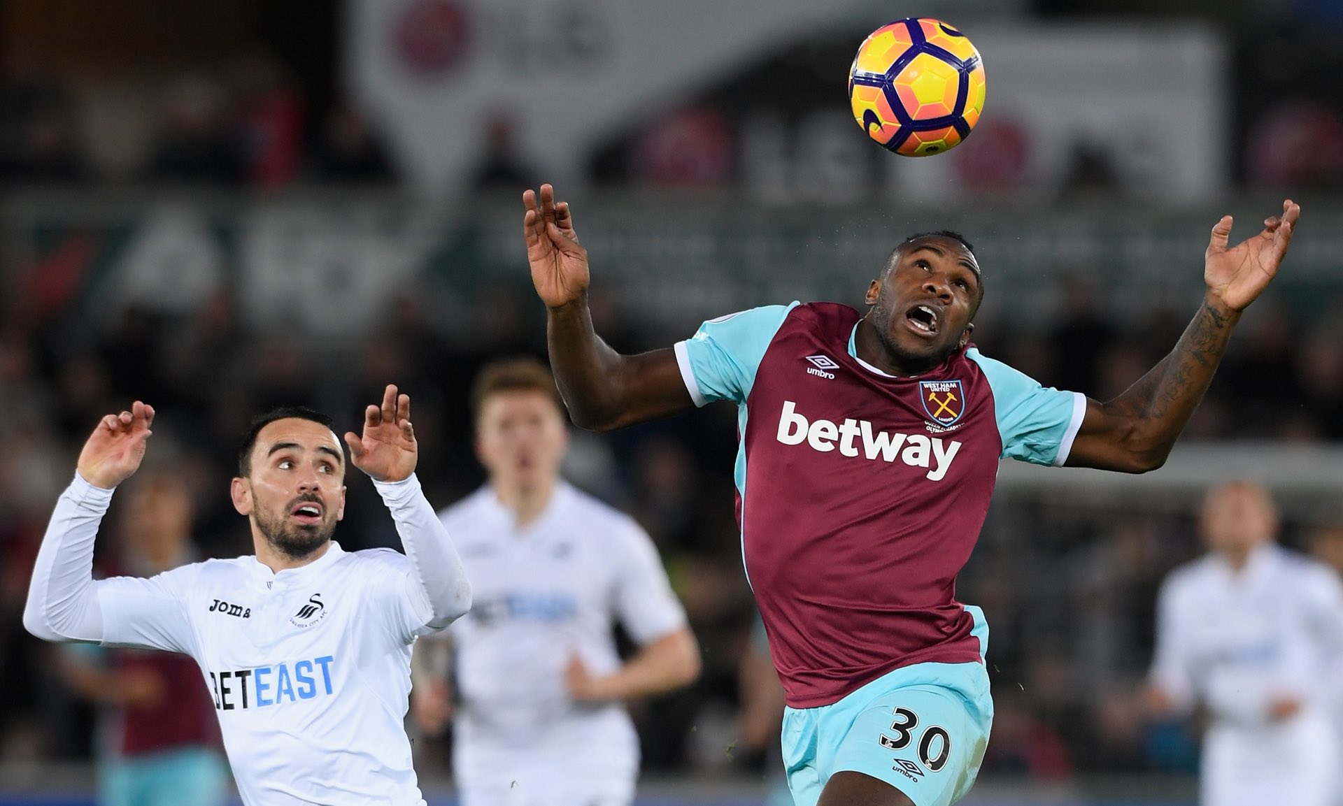 數據顯示 數據顯示